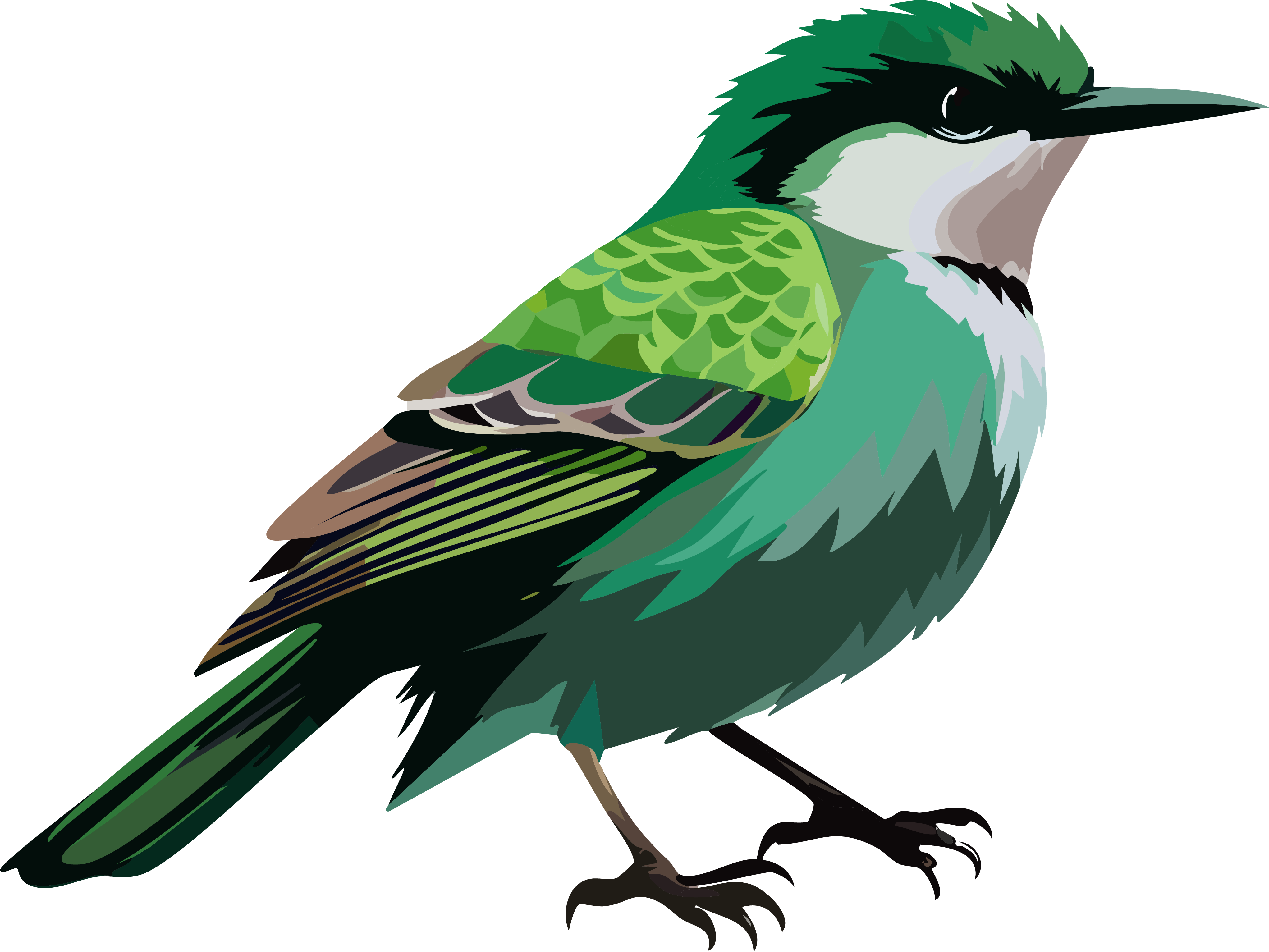 Bird silhouette used in the matching game